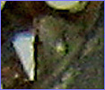 Tab on Drain Cover